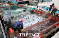  코로나19로 중단된 하동 녹차참숭어 북미수출 재개