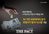  KB손보, 디지털 보험사기 예방 AI 시스템 개발