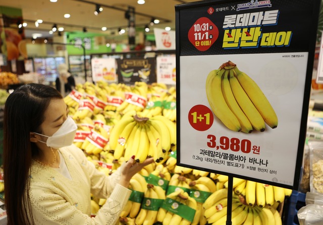 롯데마트가 오는 31일부터 이틀간 반반데이 할인 행사를 진행한다고 밝혔다. /롯데쇼핑 제공