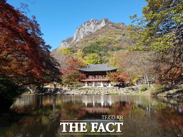 국립공원공단 내장산국립공원백암사무소는 30일 백암산 탐방 안전수칙과 비대면으로 단풍을 즐길 수 있는 방법을 전했다./ 내장산국립공원사무소 제공