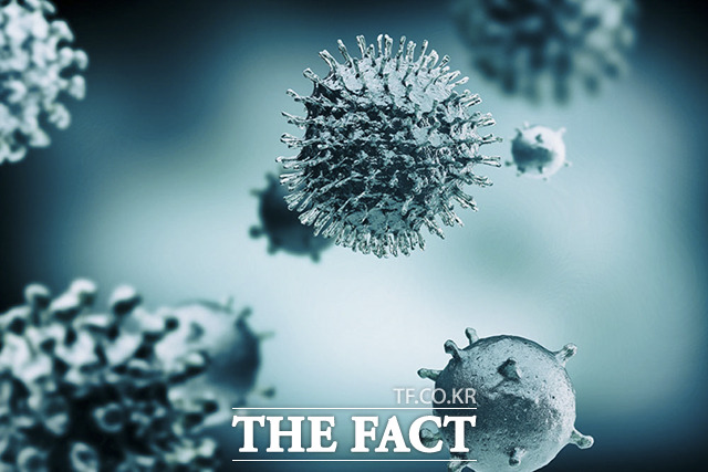 전북에서 지난 1월 31일 처음 코로나19 확진자가 발생한 이후 9개여월 만에 첫 번째 사망자가 나왔다. 2일 전북도는 코로나19로 인해 입원 치료를 받던 A(70·여) 씨가 이날 오후 1시 35분께 숨졌다고 밝혔다. /유한회사 필통 제공