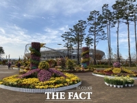  진주 시내 곳곳 국화 향기 물씬 '국화작품' 분산 전시