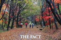  화순 너릿재 옛길, ‘걷고 싶은 전남 대표 숲길’ 선정