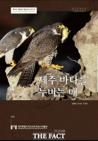  제주지역 해안 절벽서 ‘멸종위기 1급’ 매 18쌍 서식
