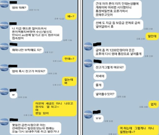 3일 금융감독원에 따르면 올해 1~9월 메신저피싱 총 피해 건수와 피해액이 각각 6799건, 297억 원으로 나타났다. 사진은 메신저를 활용한 자녀 사칭 보이스피싱 사례. /금융감독원 제공
