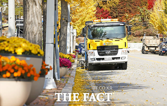 임실군이 11월말까지 노면청소차량을 가로수 식재 읍면에 집중투입해 낙엽 등을 수거하고 주민불편 최소화와 청결한 시가지를 조성할 계획이다. /임실군 제공
