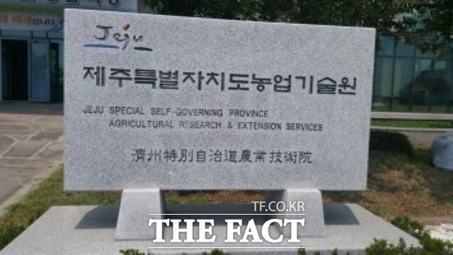 제주도 농업기술원은 2017년부터 2021년 12월 31일까지 정부에서 한시적으로 적용 중인 잠정 안전사용기준 설정 농약과 등록 농약수가 적은 소면적 작물을 중심으로 농약 직권등록시험을 31작물·60시험을 추진하고 있다./제주 농업기술원 제공