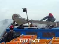  군산해경, 멸치 황금어장을 노린 31척 불법조업 어선 적발
