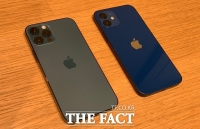  10대 일당 휴대전화 매장서 훔친 아이폰, 알고 보니 '모형'