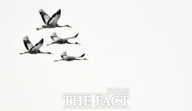 농림축산식품부는 지난 1일부터 5일까지 세계동물보건기구에 보고된 해외 고병원성 조류인플루엔자 발생 건수는 24건이라고 7일 밝혔다. /더팩트 DB