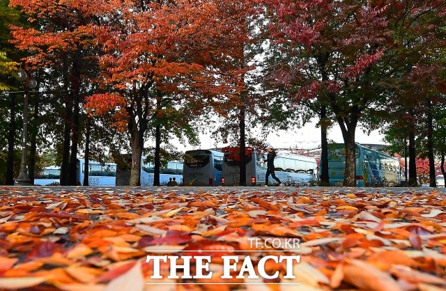 8일은 북서쪽에서 찬 공기가 유입되면서 기온이 낮아지고 바람도 강하게 불어 체감온도는 더욱 낮겠다. /더팩트 DB