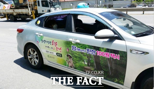 전남 화순군이 100원 택시에 이어 버스비 1000원만 지불하면 화순 지역 어디든 갈 수 있는 ‘1000원 버스’ 운행제도를 시행해 주민들의 큰 호응을 얻고 있다. 사진은 맘 편한 100원 택시./화순군 제공