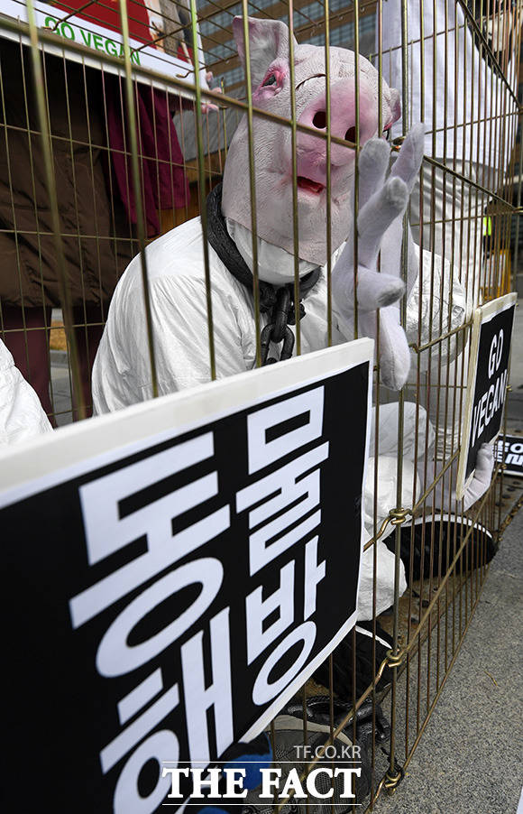 비건(Vegan) 세상을 위한 시민모임, 한국채식연합 등 시민단체 회원들이 9일 오후 서울 광화문광장 앞에서 동물자유와 해방을 촉구하는 기자회견을 열고 퍼포먼스를 하고 있다. /남용희 기자
