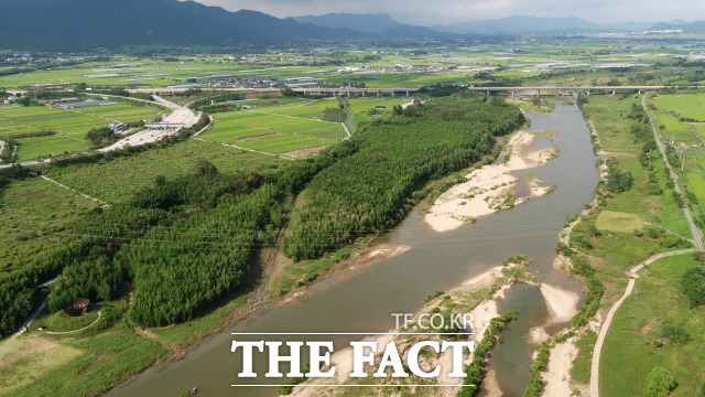 전남 담양군 대전면 태목리에 자리한 ‘담양 태목리 대나무 군락’이 국가지정문화재 천연기념물 제560호로 지정됐다. 사진은 영산강변을 따라 길게 형성된 태목리 대나무 군락지./담양군 제공
