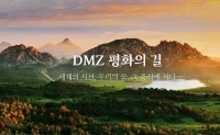  정부, 'DMZ 평화의길' 거리두기 여행 재개