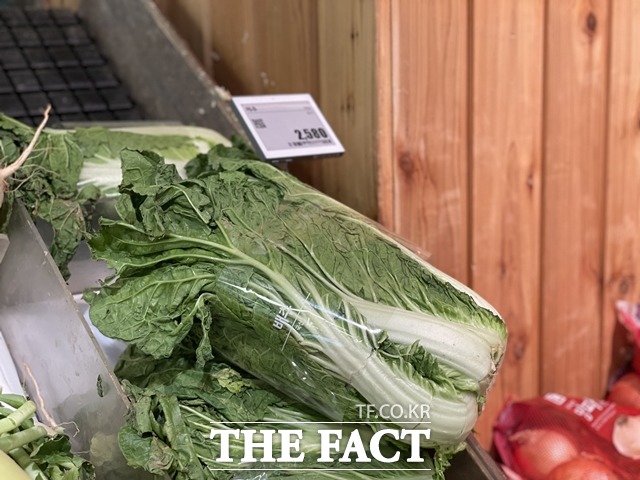 정부가 김장 채소 가격을 안정시키기 위해 이달 상순부터 12월 하순까지 비축물량 공급을 확대하기로 했다. /문수연 기자