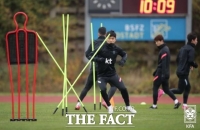  벤투호 코로나 '비상', 조현우 황인범 권창훈 등 5명 '양성'