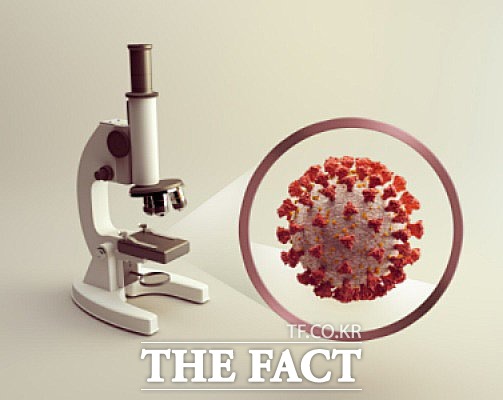 목포서 코로나1917번,18번째 확진자 발생에 이어 19번,20번째 확진자가 밝생했다. 이에 목포시는 재확산을 경계하고 확진자 동선과 접촉자들을 확인중에 있다./더팩트DB