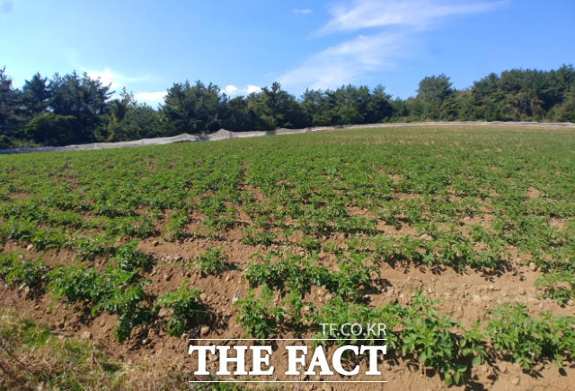 서귀포시는 초지의 이용현황, 초지법 위반 여부 등을 파악하기 위해 지난달 초지관리 실태를 조사했다. / 서귀포시 제공
