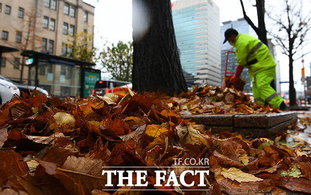 전국적으로 많은 비가 내린 19일 오전 서울 종로구 광화문역 일대의 환경미화원이 떨어진 낙엽을 수거하고 있다. /이동률 기자