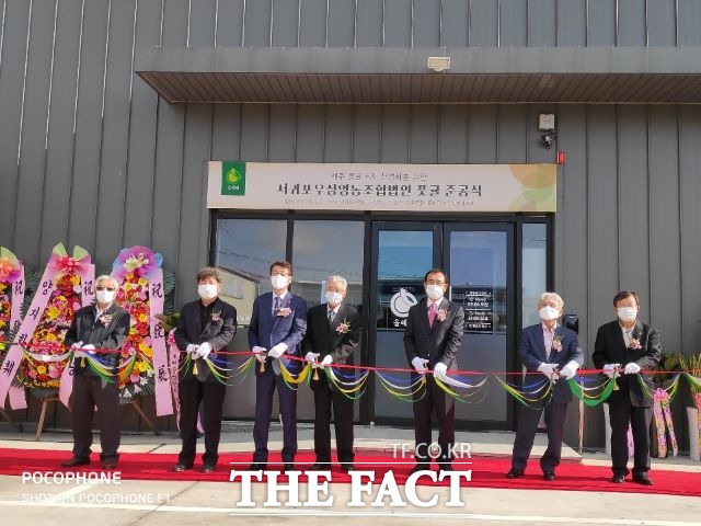 서귀포시는 20일 토평동 공업단지에 위치한 서귀포우정영농조합법인의 풋귤가공공장에서 준공식을 갖고 본격 제품생산에 돌입한다. / 서귀포시 제공