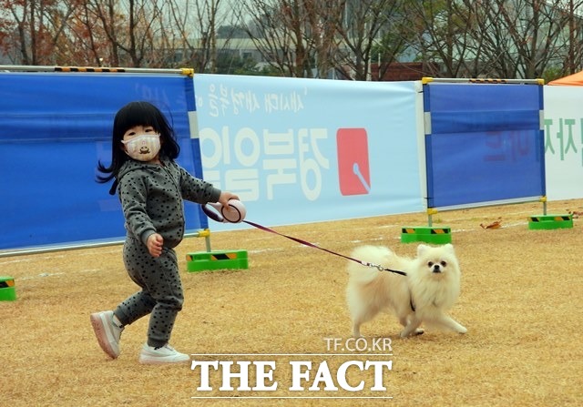 행사에 참여한 꼬마 아가씨와 애완견이 함께 뛰어 놀고있다./포항=김달년기자