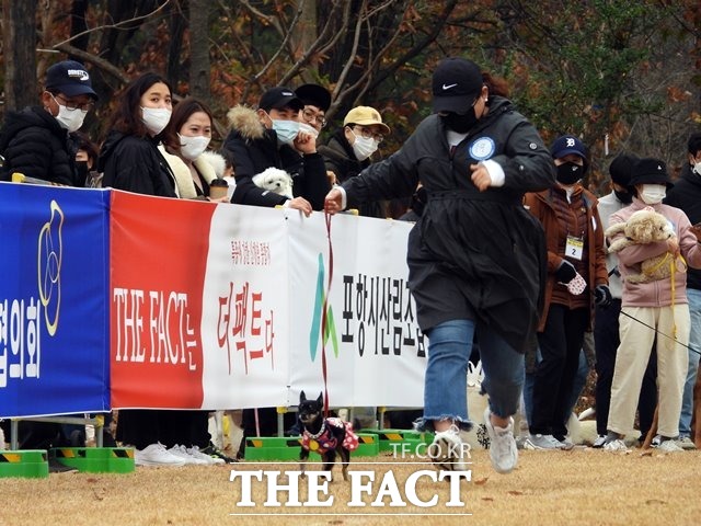 애완견 보다 더 열심히 뛰는 참가자./포항=오주섭기자