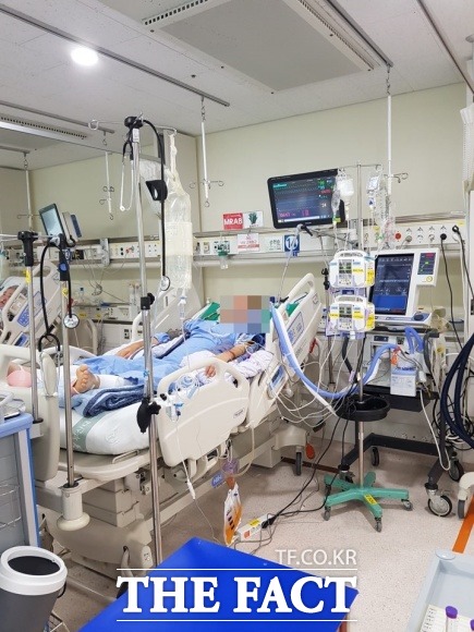 지난달 30일 부산의 한 특급 호텔에서 추락사고로 뇌사상태에 빠진 손모(39)씨 모습. /가족 제공.