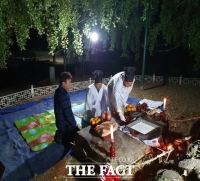  구미, 천연기념물 농소리 은행나무 동제