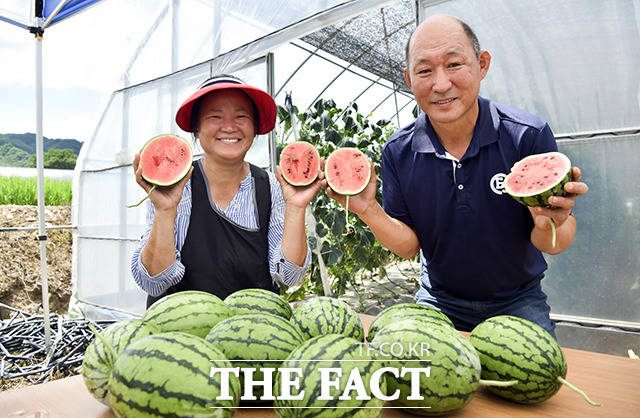 장수군은 읍·면별 특화작목을 선정하고 한우, 사과, 토마토, 오미자, 고추, 인삼, 두릅, 양파, 양봉, 쌈채소, 생강, 시설상추, 약용작물, 오이, 수박을 15개 경쟁품목을 육성 중이다. /장수군 제공