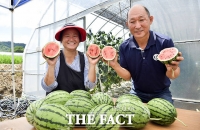  장수군, 新 소득작물 발굴 '박차'