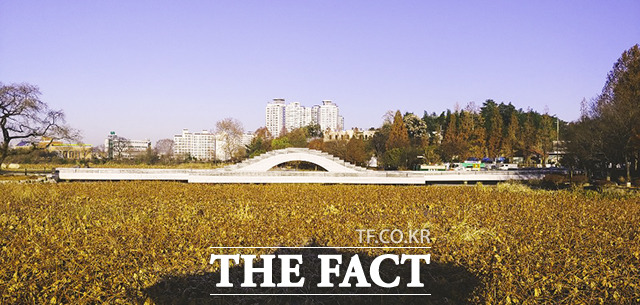 전주시는 총사업비 60억원을 들여 덕진공원 내 연화교 재가설 공사를 마무리 했다. /전주시 제공