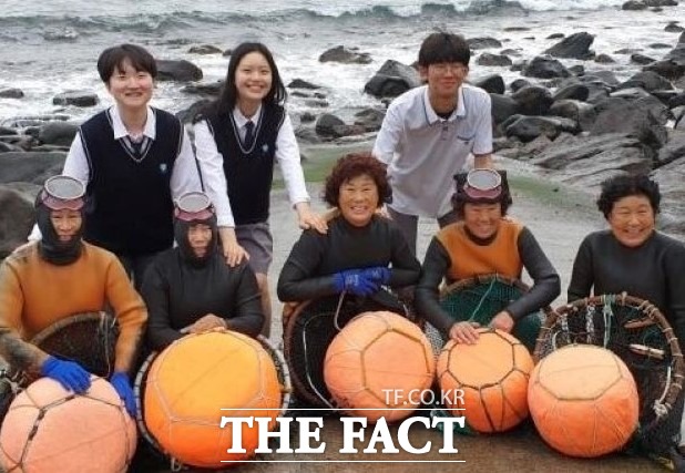 정확한 해녀현황 관리를 통해 해녀복지향상 지원 정책에 활용 제주시는 정확한 해녀현황 관리를 통해 해녀진료비 지원 등 해녀복지향상 지원 정책을 위한 기초자료에 활용하기 위해 12월 한달간‘해녀현황 일제조사’를 실시한다. / 제주시 제공