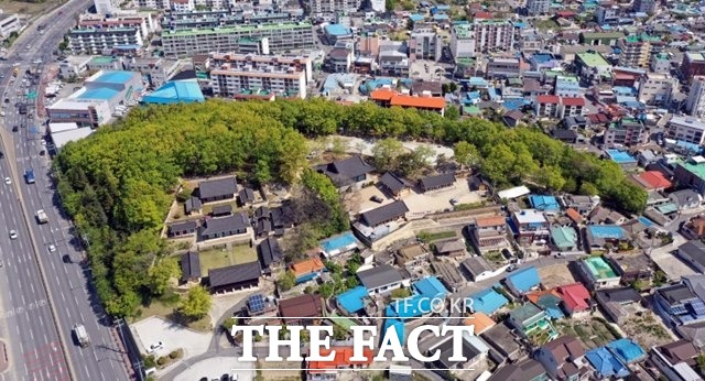 천연기념물로 새롭게 지정된 포항 흥해향교 이팝나무 군락지 모습/포항시 제공