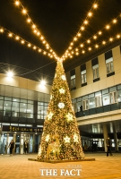  [TF포토]장수군, 희망담은 크리스마스 트리 '점등'