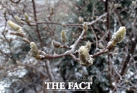 [오늘의 날씨] 전국에 눈·비 내리고 흐림...'낮에는 포근'