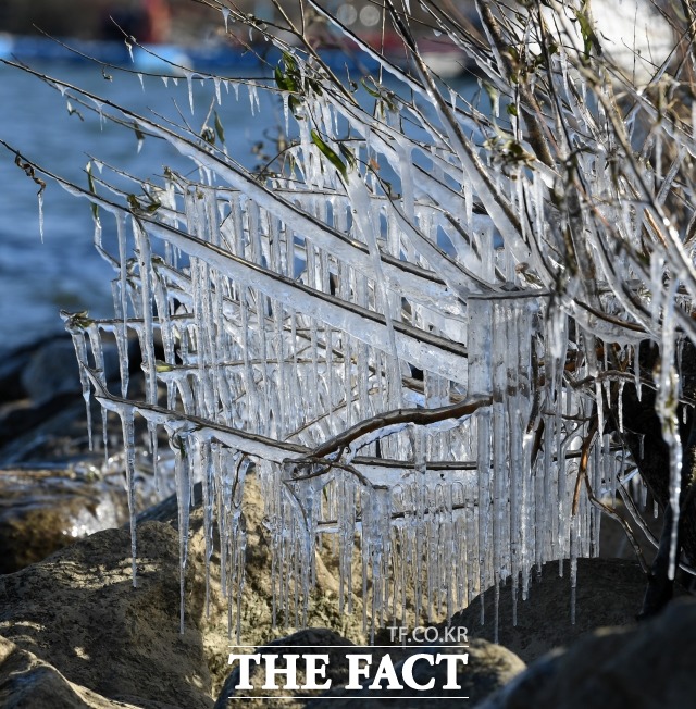 화요일인 오늘(15일)은 전국적으로 어제보다 기온이 더 떨어진다. 사진은 서울을 비롯한 중부지방에 매서운 한파가 찾아온 14일 오전 서울 영등포구 여의도한강공원에 고드름이 얼어 있다. /임세준 기자