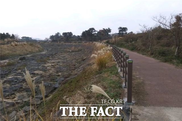 제주시는 코로나19로 실내 운동 자제의 분위기에 따라 정서함양과 건강증진을 위한 야외 활동에 따른 이용객의 안전과 쾌적한 환경 제공을 위해 옹포천 어울공원 내 산책로 안전난간 정비 등 환경정비사업을 추진했다. / 제주시 제공