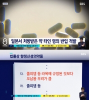  한류스타, 향정신성의약품 밀반입 '덜미'…검찰 소환 조사