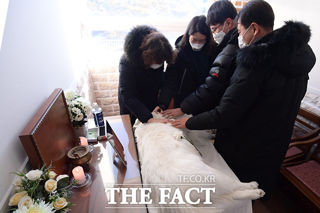 15일 오후 김포시 통진읍에 있는 한 반려동물 장례식장에서 보호자들이 반려견(사모예드)의 장례식을 치르며 작별 인사를 하고 있다. /김포=이선화 기자