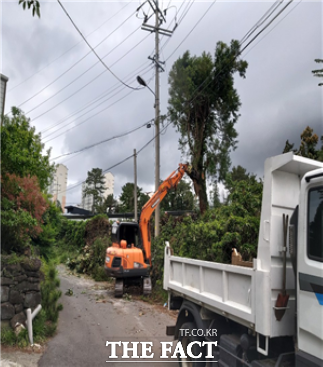 서귀포시는 안전한 밤거리 보행 환경 제공과 교통사고 예방을 위해 2021년 가로등 분야에 79억원을 투입, 조기발주할 계획이다. / 서귀포시 제공