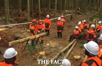  제주도, 새해에  산림 · 도시숲 예산으로  577억원 배정