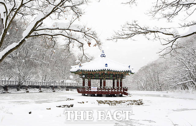 단풍으로 유명한 정읍 내장산이 흰옷으로 갈아입으며 아름다운 장관을 연출하고 있다. 정읍에는 전날 많은 양의 눈이 내렸으며, 31일 오전 기준 적설량은 평균 26.8㎝, 최고 43.3㎝를 기록했다. /정읍시 제공