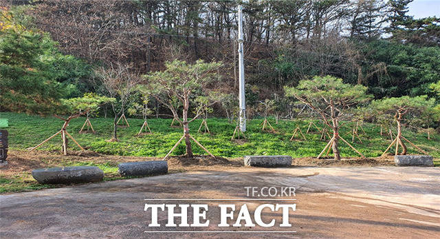 전주시가 국립무형유산원 인근 등 8곳의 방치되거나 버려진 도심 속 자투리땅을 총 사업비 4억6300만원을 투입해 ‘녹색쌈지숲’으로 조성했다.
