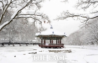  [TF사진관]정읍 내장산, 새하얀 눈꽃 '절경'