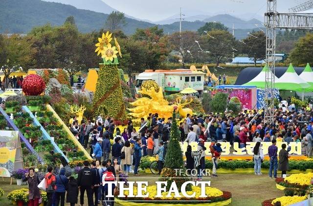 장성군이 ‘2021년 관광두레’ 신규지역에 포함됐다. 사진은 2019년 황룡강 노란꽃잔치 현장./장성군 제공