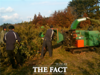  제주시,‘감귤원 1/2 간벌’사업 접수