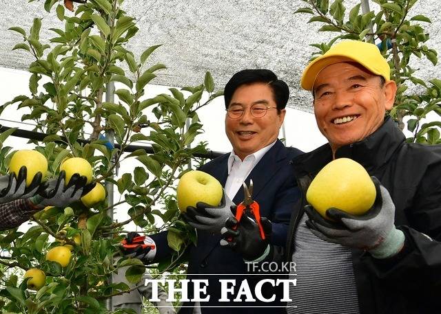 옐로우시티 장성의 특산물인 ‘황금사과’의 우수한 품질이 과학적 연구를 통해 입증됐다. 농가를 방문한 유두석 장성군수./장성군 제공