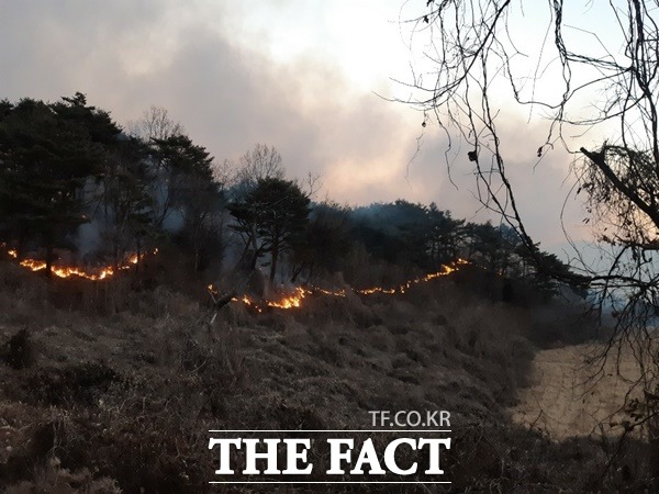 6일 오전 6시 13분께 오촌리 야산 8부 능선에서 발생, 초속 4.7m의 강풍으로 진화에 어려움을 겪고 있다./경북소방본부제공