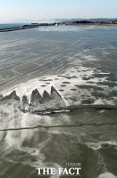 [TF사진관] '북극한파'가 그려낸 한폭의 그림